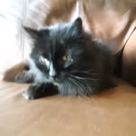 Dennis wilbur - @denniswilbur64 - Instagram