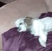 Dennis Wilburn - Facebook
