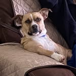 Kyle Marker - @wilburdennis - Instagram