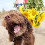 WilburFord - @wilburford18 - Instagram