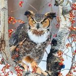Stanton Wilburn - @stanton_lee_wilburn - Instagram