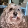 Wilbur - @wilbureinstein - TikTok