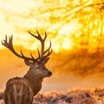William Steinhour - @wilbursteinhour - Instagram