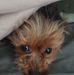 Wilbur Thomas - Facebook
