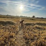 Wilbur Thomas - @wilbur_thomas2101 - Instagram