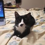 Wilbur Thomas - @wilbur_thomas9 - Instagram