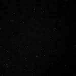 Wilbur - @wilbur_walkerr - Instagram