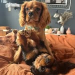 Wilbur and Wally - @wilbur_and_wally - Instagram