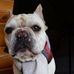 Wilbur Randolph Marshall White - Facebook