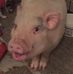Wilbur White-moore - Facebook