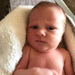 Wilbur Willis - @adventures.of.wilbur.willis - Instagram