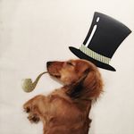 Vicki - @wilbur_the_wise - Instagram