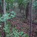 Wilbur Wright State Fish &amp; Wildlife Area - Facebook