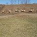 Wilbur Wright State Park Firearm Range - Facebook