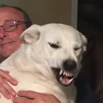 Wilburn Smith - @smithwilburn - Instagram