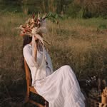 Hoa khô Wild Daisy - @wilddaisy.vn - Instagram
