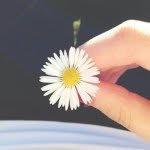 @wild__daisy - Instagram