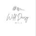 Wild Daisy - Facebook