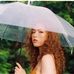 Wild Daisy - Facebook