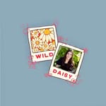 Wild Daisy Art and Lettering - @wilddaisylettering - Instagram