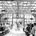 Wild Daisy Farm - Facebook