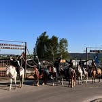 WILD WEST RANCH - @wild.west.ranch - Instagram