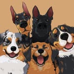 Wild West - @wild_westk9 - Instagram
