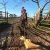 wildwest2215 - @wildwest2215 - TikTok