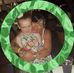Wilma Allison - Facebook