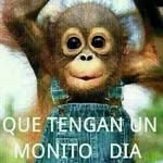 Wilda Bellido - @wildabellido - Instagram