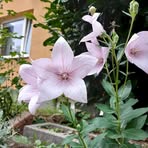 Wilda Booth - Facebook