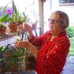 Wilda Arrington Brady - @wildabrady - Instagram