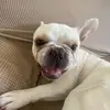 COOPER‼️ - @wildcooper - TikTok