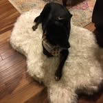 LibbyC - @wilda.cooper.9 - Instagram