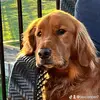 wildacooper - @wildacooper - TikTok