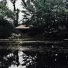Willagreene6 - @willagreene - TikTok