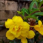 Wilda Rivera - Facebook