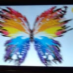 Wilda Rivera - Facebook