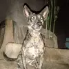 Wilda will - @wilda.will7 - TikTok