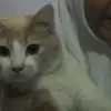 wildawill492 - @wildawill492 - TikTok