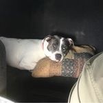 Wiley Bennett - @wiley.bennett.319 - Instagram