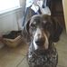 Wiley Collins - Facebook