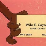 @wiley_the_coyote_collins - Instagram