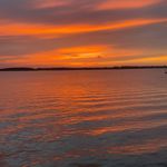 Wiley Harris - @wileybharris - Instagram
