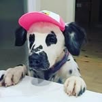 Amanda Wiley Hoover (personal) - @amandawileypersonal - Instagram