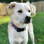 Wiley Johnson - @littlemanwiley - Instagram