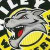 wileylittlems&mr - @wileylittlemsandmr - TikTok