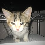 Wiley McCall - @mccallwiley - Instagram