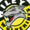 Wiley middle - @wiley.middle - TikTok