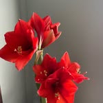 Jean Ann Wiley Nelson - @jeanannwileynelson - Instagram
